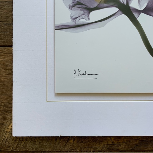 Albert Koetsier Purple Orchid X Ray Print Unframed - Picture 2 of 6